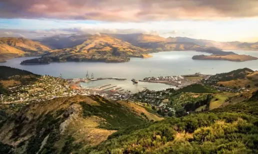 New Zealand Proposes Mandatory E-Invoicing for High-Volume Public Agencies